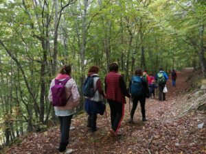 Grupo de personas caminando por un sendero en un bosque de Palencia