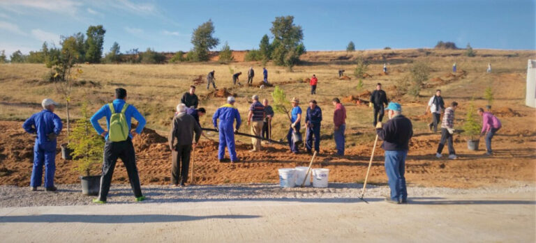 Grupo de personas trabajando en la plantación de árboles en un terreno