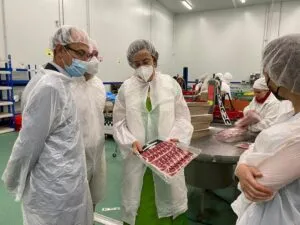 Visita a la empresa System Lonch con representantes de la Diputación de Palencia