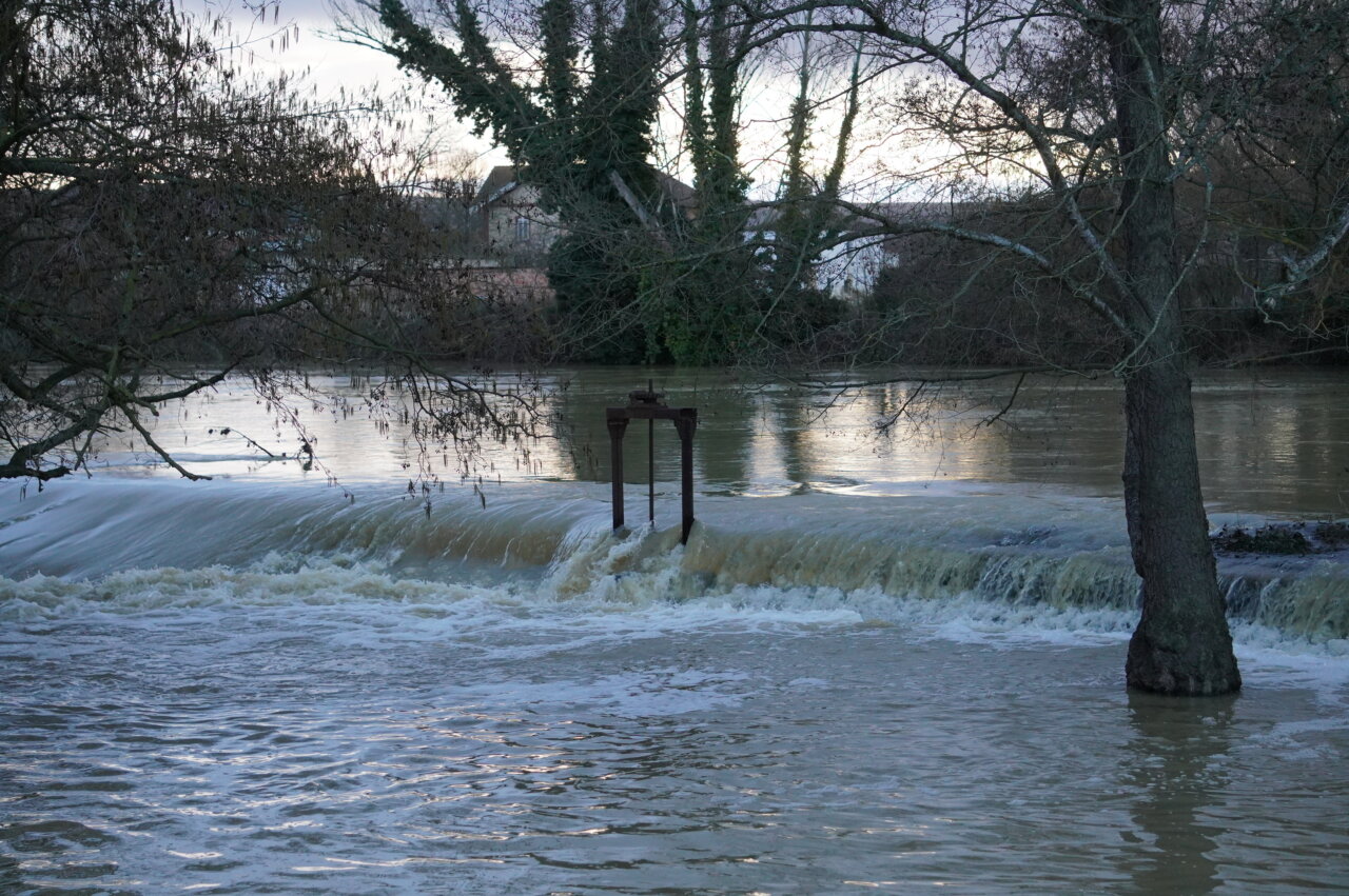 Río Carrión con alto caudal en Palencia, árboles al fondo.