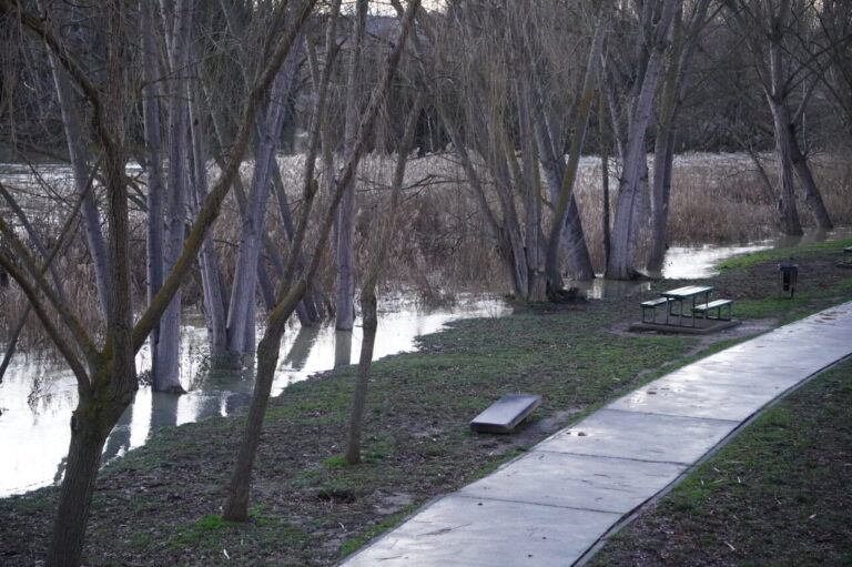 Vista del río Carrión con árboles y sendero en Palencia