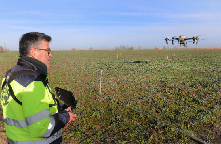 Operador de dron en un campo inundado con cultivos