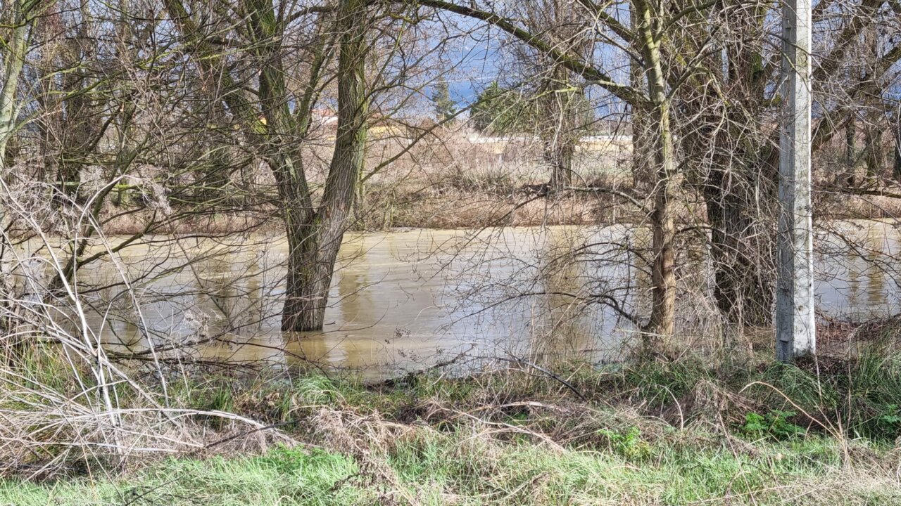 Río Carrión en Palencia con árboles y agua desbordada