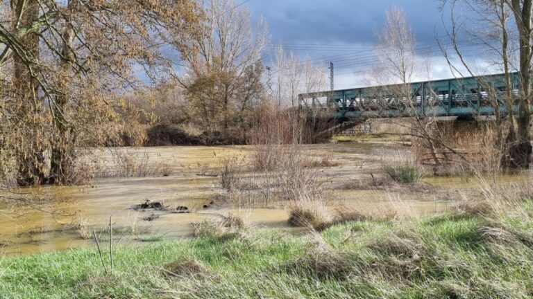 Vista del río Carrión en Palencia con inundaciones visibles y vegetación