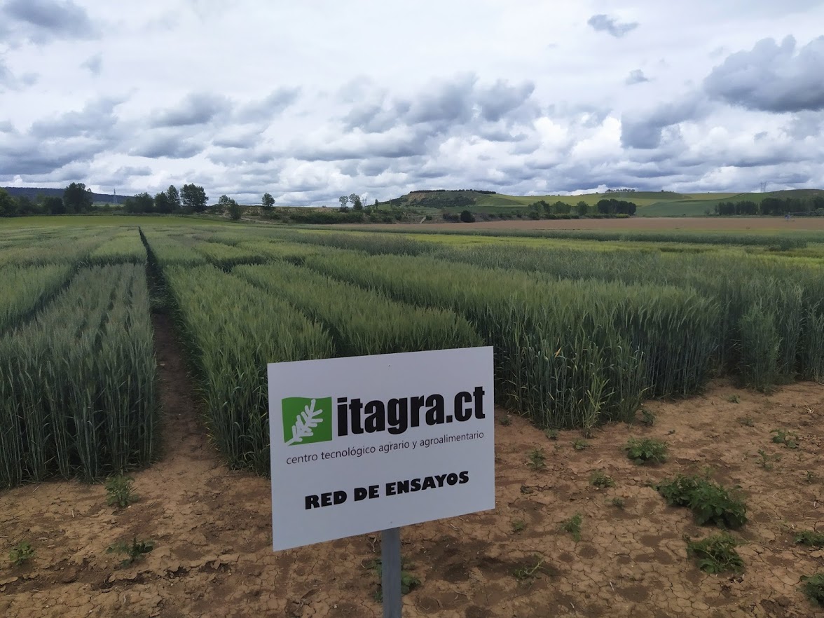 Campos de ensayo en Itagra con un letrero informativo.