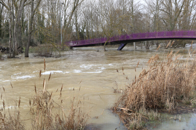 Vista del río Pisuerga con alto caudal y puente en Palencia