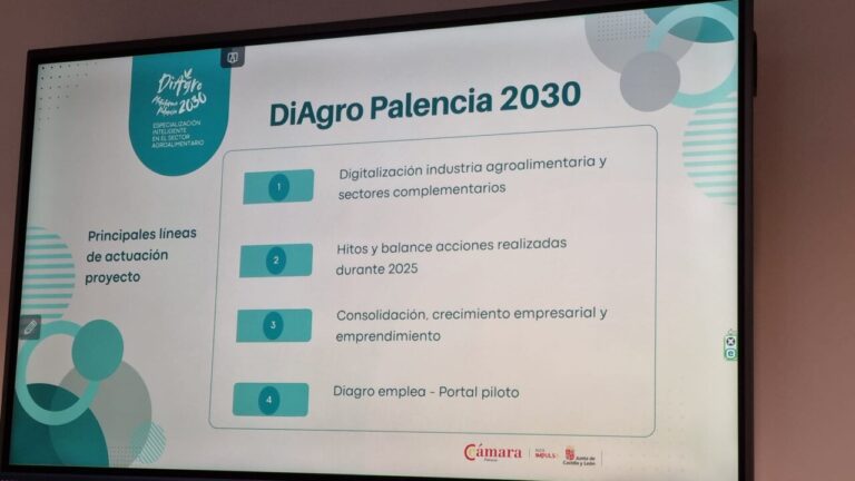 Presentación sobre el proyecto DiAgro Palencia 2030 con líneas de actuación