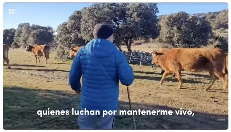 Una persona en un campo con vacas, reflejando la lucha por el medio rural.