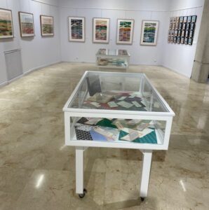 Vista de la exposición de Pilar Calonge en la Biblioteca Pública de Palencia