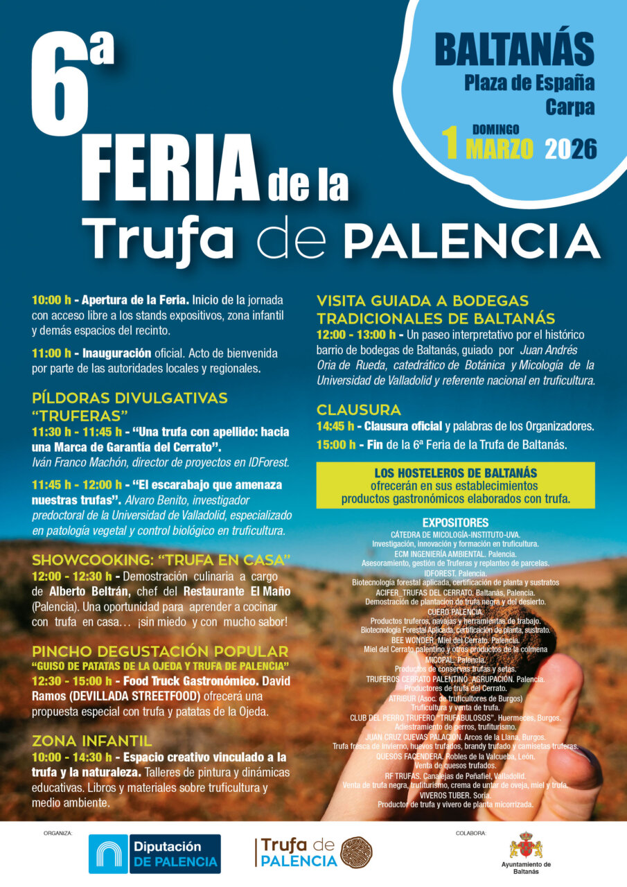 Cartel de la VI Feria de la Trufa de Palencia en Baltanás