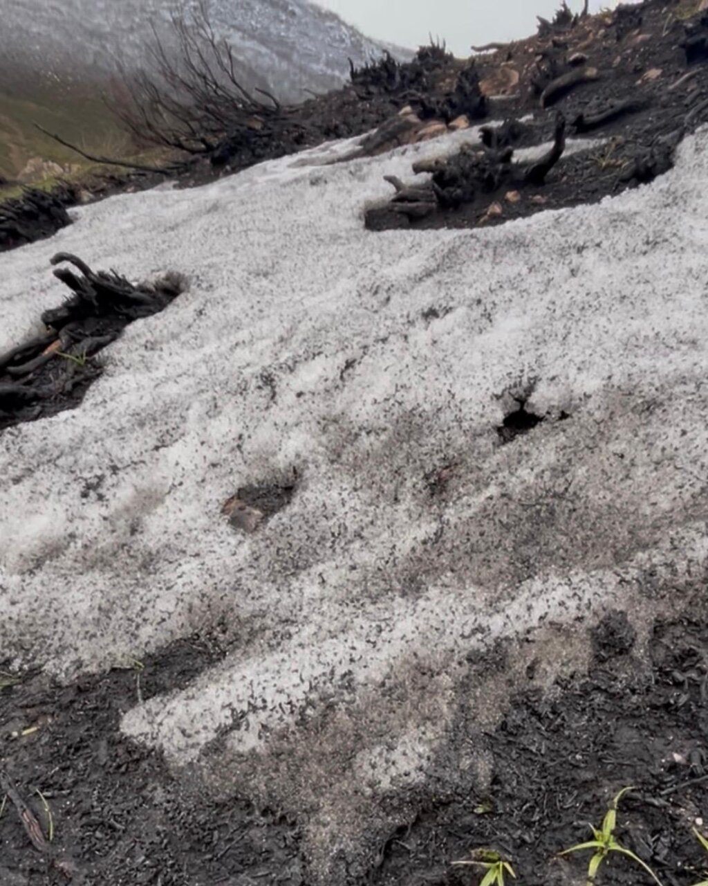 Terreno afectado por incendios en la Montaña Palentina con nieve negra