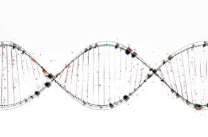Representación gráfica de la estructura del ADN en un fondo blanco