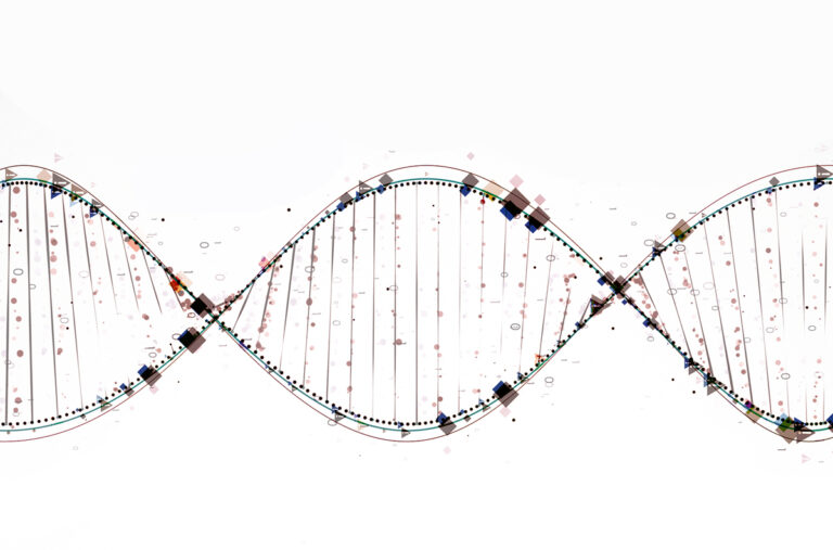 Representación gráfica de la estructura del ADN en un fondo blanco