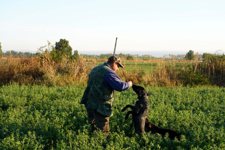 Un cazador interactuando con su perro en un campo verde