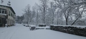 Paisaje nevado en Palencia con árboles cubiertos de nieve