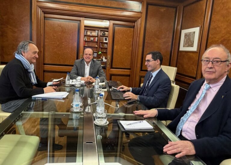 Reunión del Consejo de Cuentas de Castilla y León discutiendo auditorías.