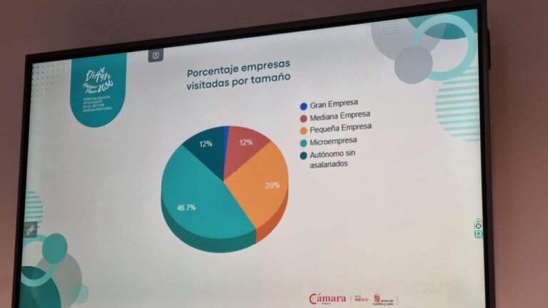 Gráfico de porcentaje de empresas visitadas por tamaño en el proyecto DiAgro 2030