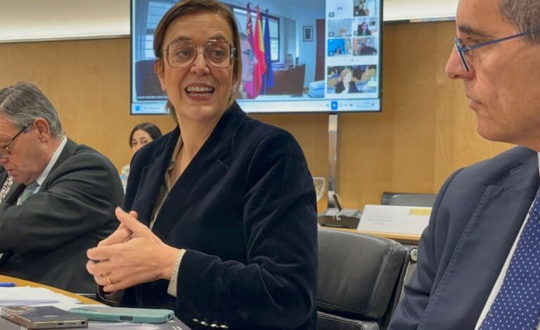 La presidenta de la Diputación de Palencia durante una reunión sobre el eclipse