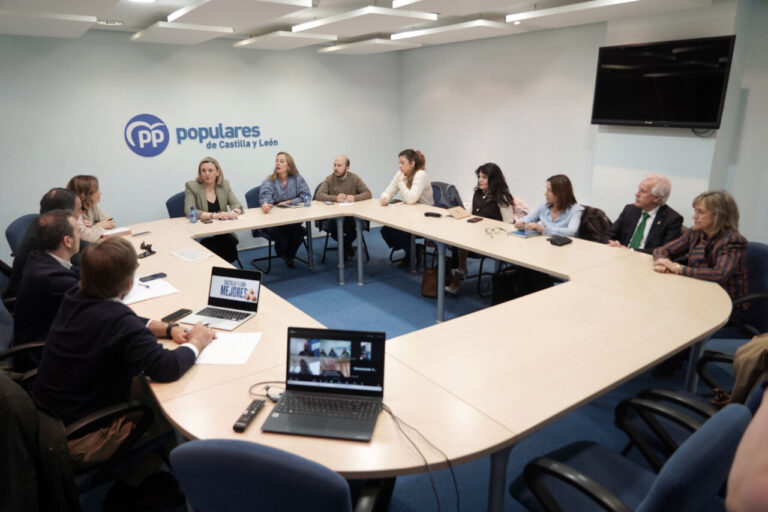 Reunión del Partido Popular de Castilla y León con varios miembros en una mesa