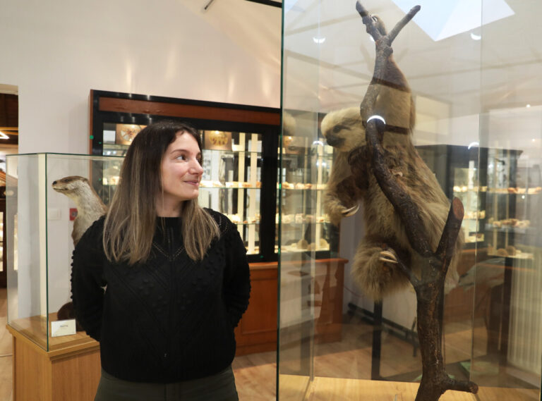 Mujer observando un ejemplar disecado en el museo del IES Jorge Manrique