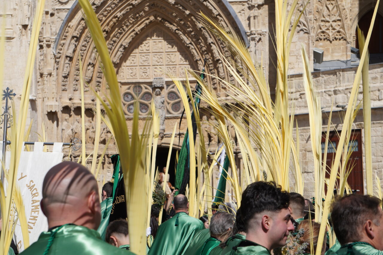 Multitud de personas con palmas en la procesión del Domingo de Ramos en Palencia