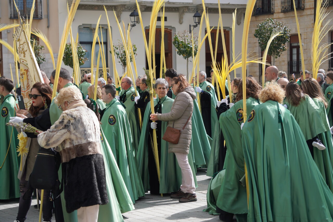 Multitud de personas con capas verdes y palmas en Palencia