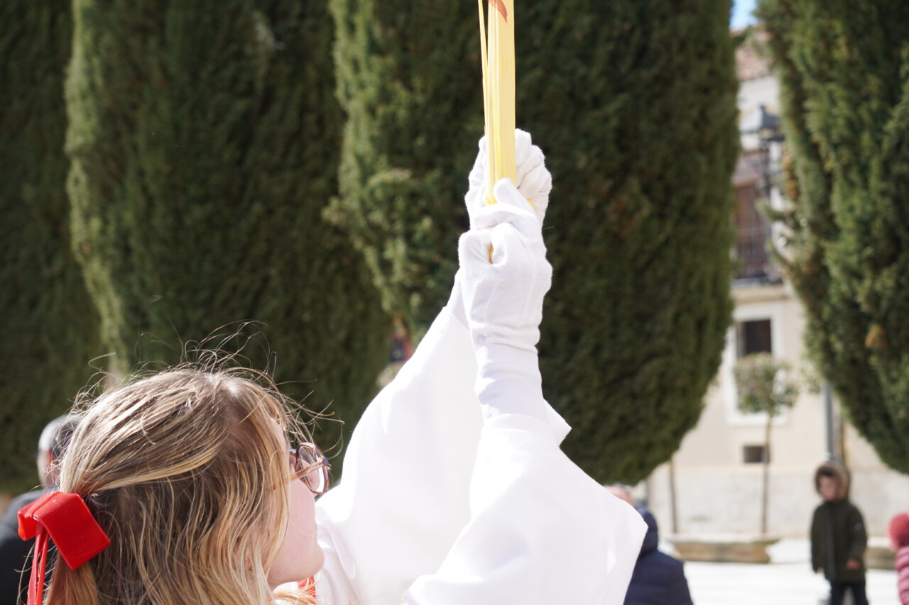 Persona sosteniendo una palma durante la procesión de La Borriquilla en Palencia.