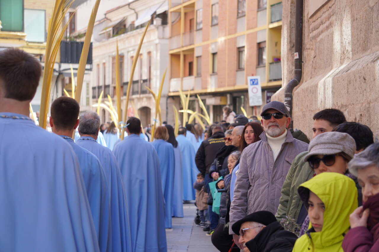 Multitud en la procesión del Domingo de Ramos en Palencia con palmas