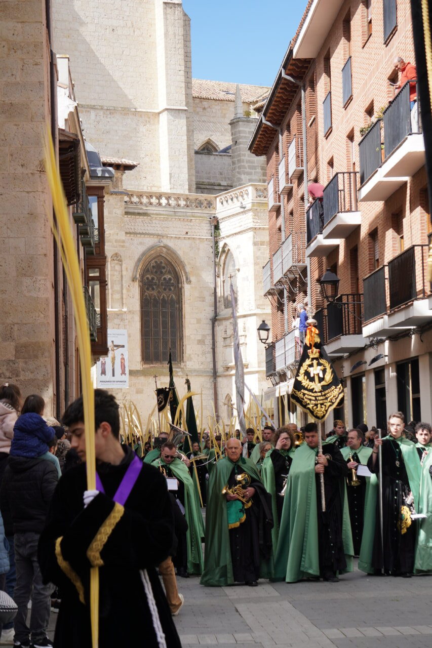 Procesión del Domingo de Ramos en Palencia con cofrades y palmas
