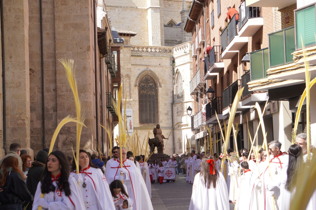 Multitudinaria procesión del Domingo de Ramos en Palencia con palmas