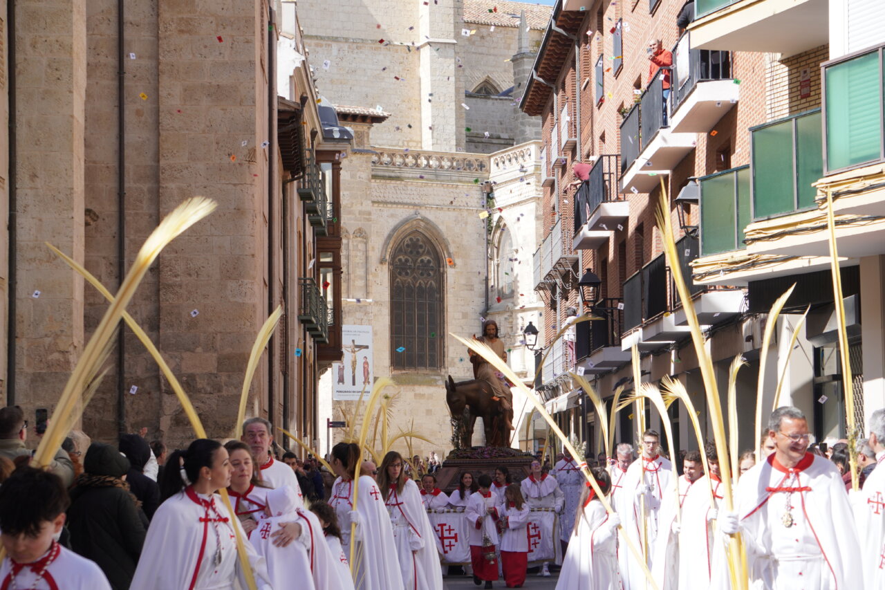 Procesión del Domingo de Ramos en Palencia con cofrades y palmas