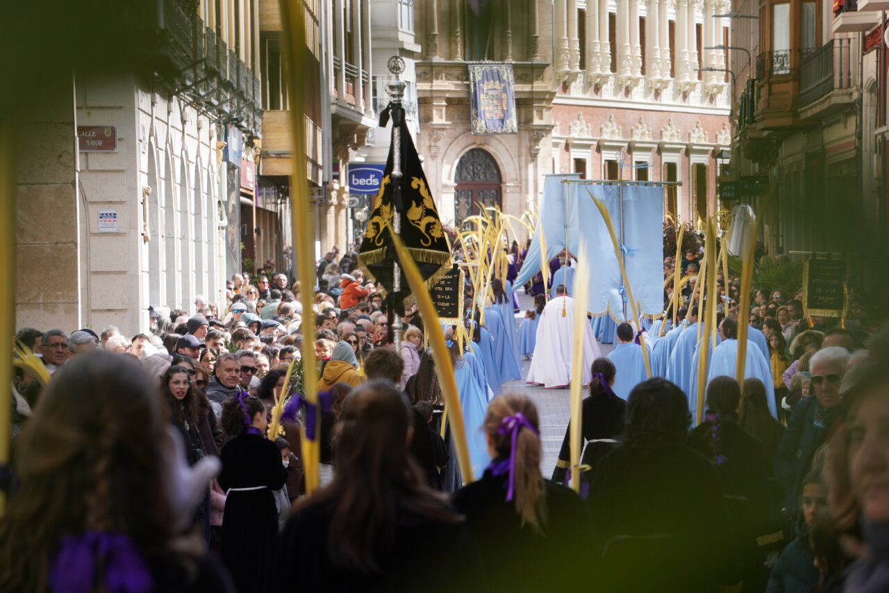Multitudinaria procesión del Domingo de Ramos en Palencia con palmas y cofrades.