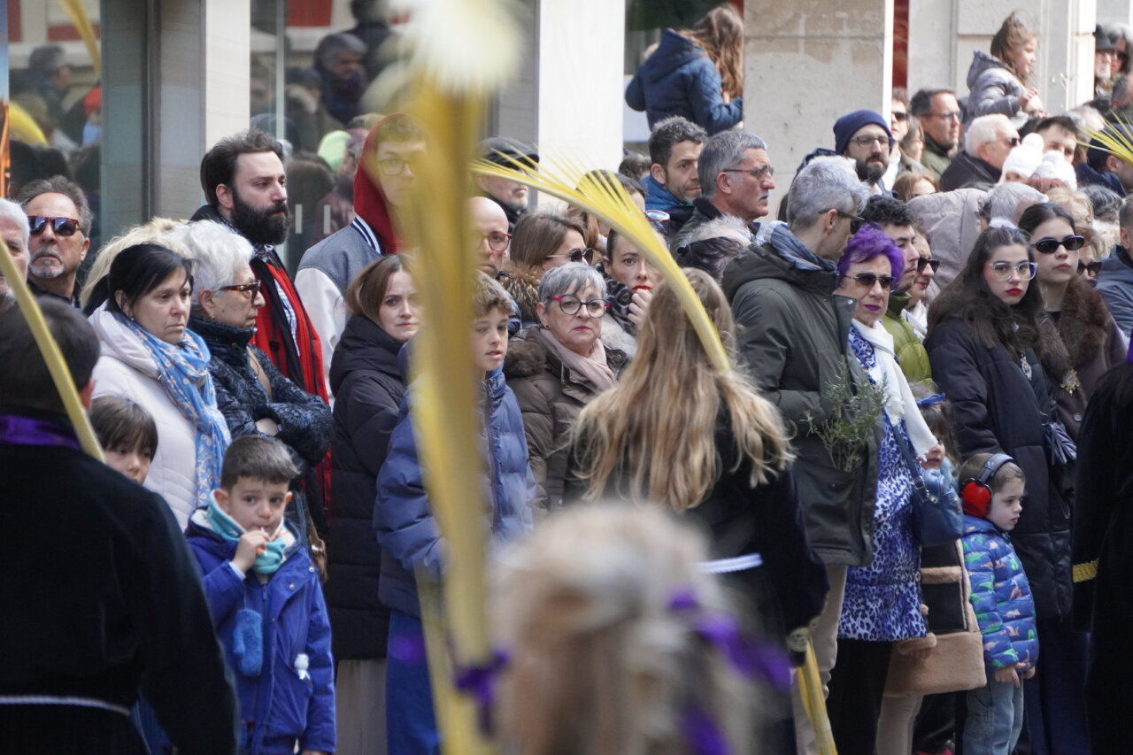Multitud en la procesión del Domingo de Ramos en Palencia con palmas