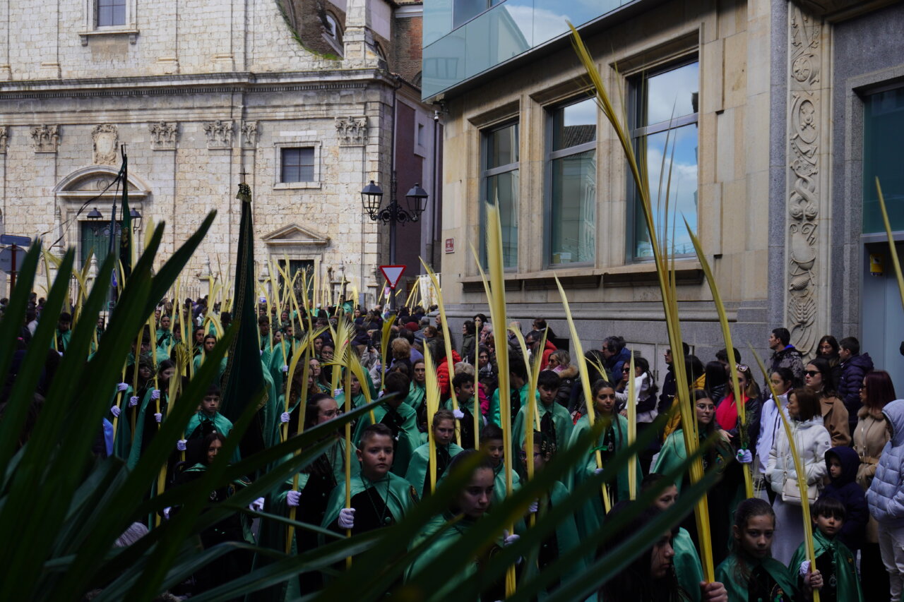 Multitud de niños con palmas en la procesión de La Borriquilla en Palencia.