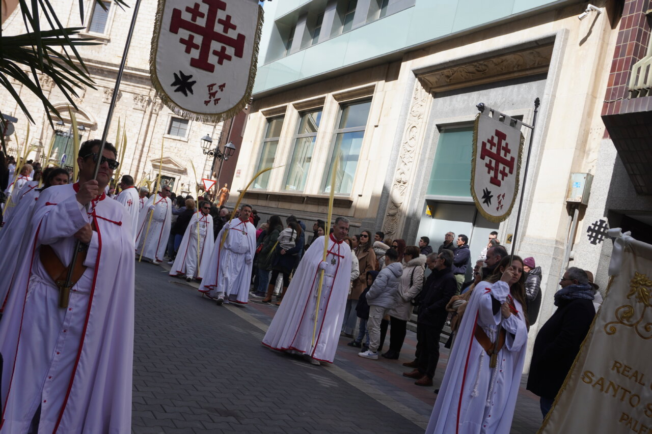 Cofrades en procesión del Domingo de Ramos en Palencia con palmas y estandartes