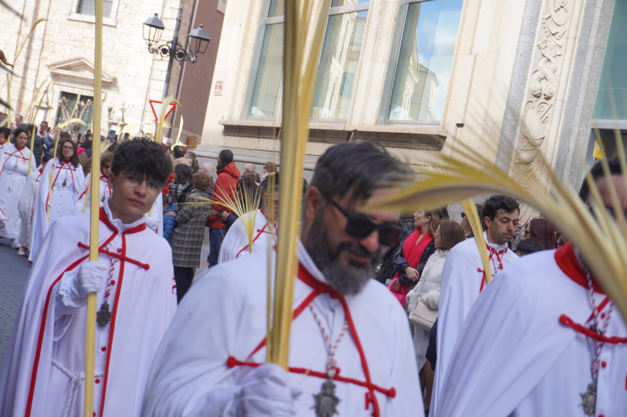 Cofrades con palmas en la procesión del Domingo de Ramos en Palencia