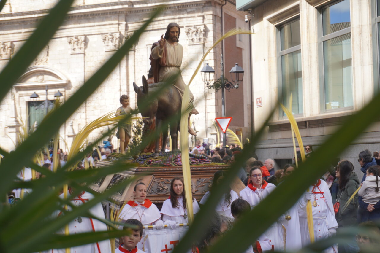 Procesión de La Borriquilla en Palencia con palmas y cofrades