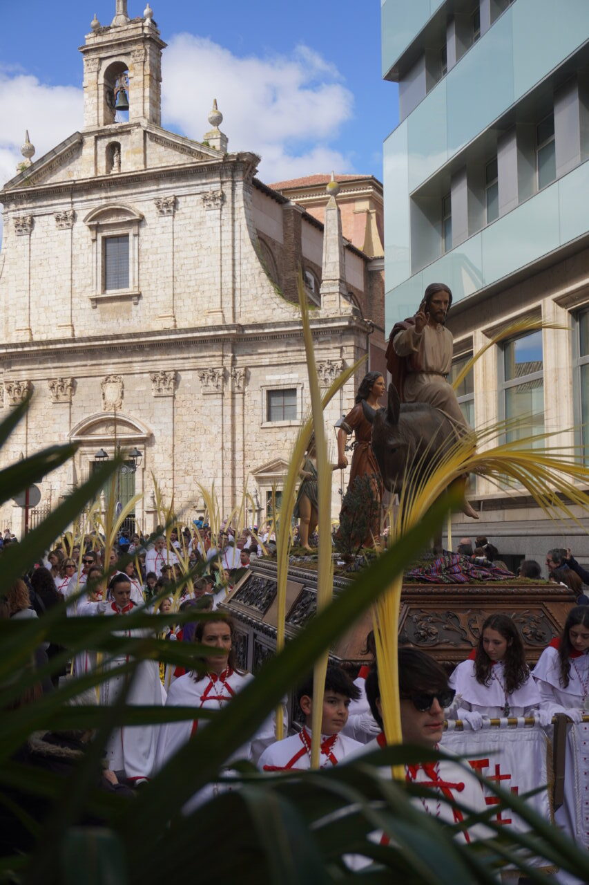 Procesión del Domingo de Ramos en Palencia con La Borriquilla y cofrades