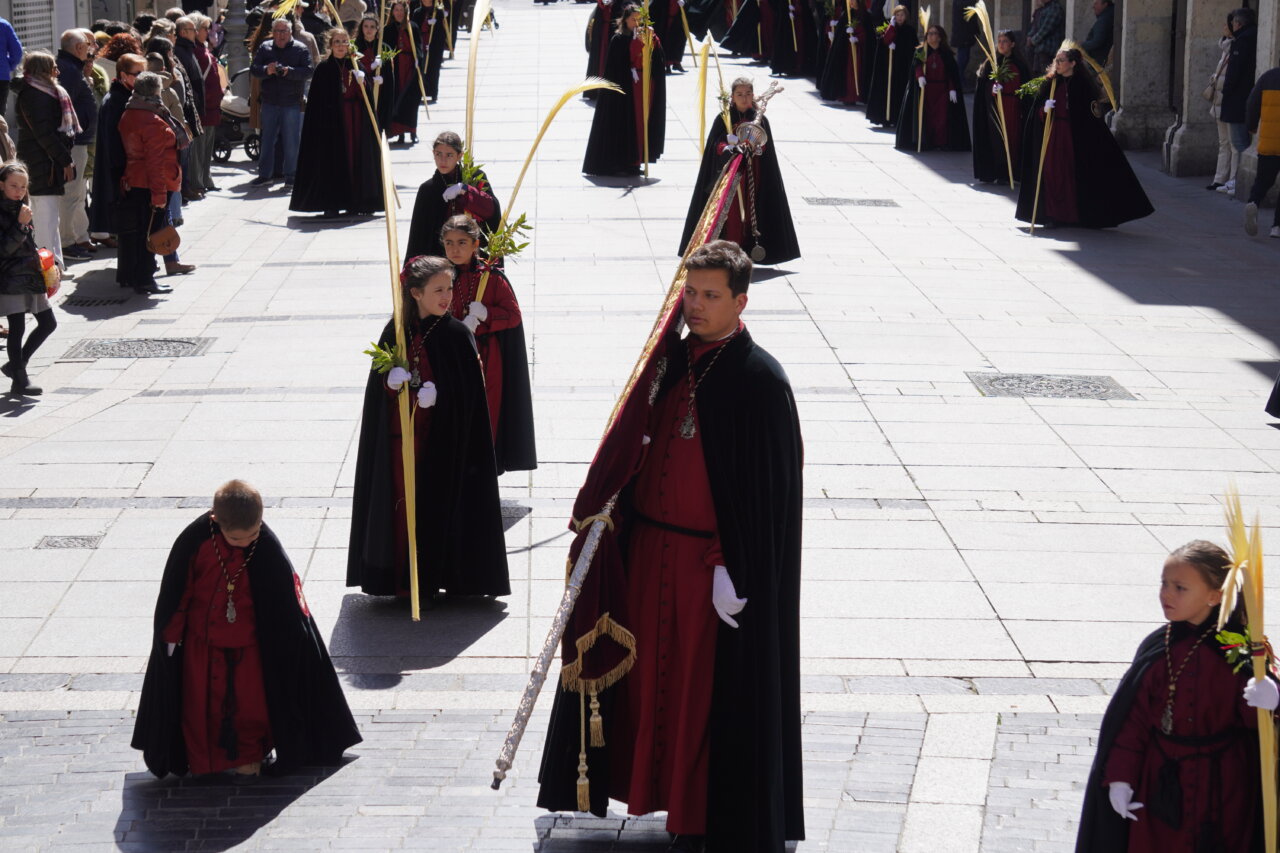 Cofrades en la procesión del Domingo de Ramos en Palencia con palmas