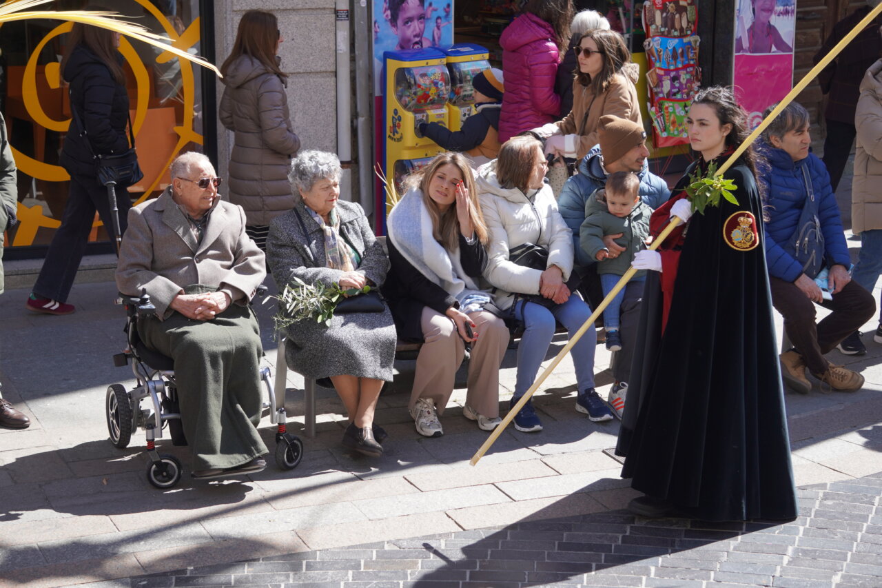 Multitud en la procesión del Domingo de Ramos en Palencia con La Borriquilla.