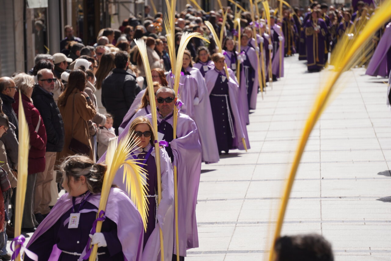 Multitudinaria procesión del Domingo de Ramos en Palencia con cofrades y palmas.