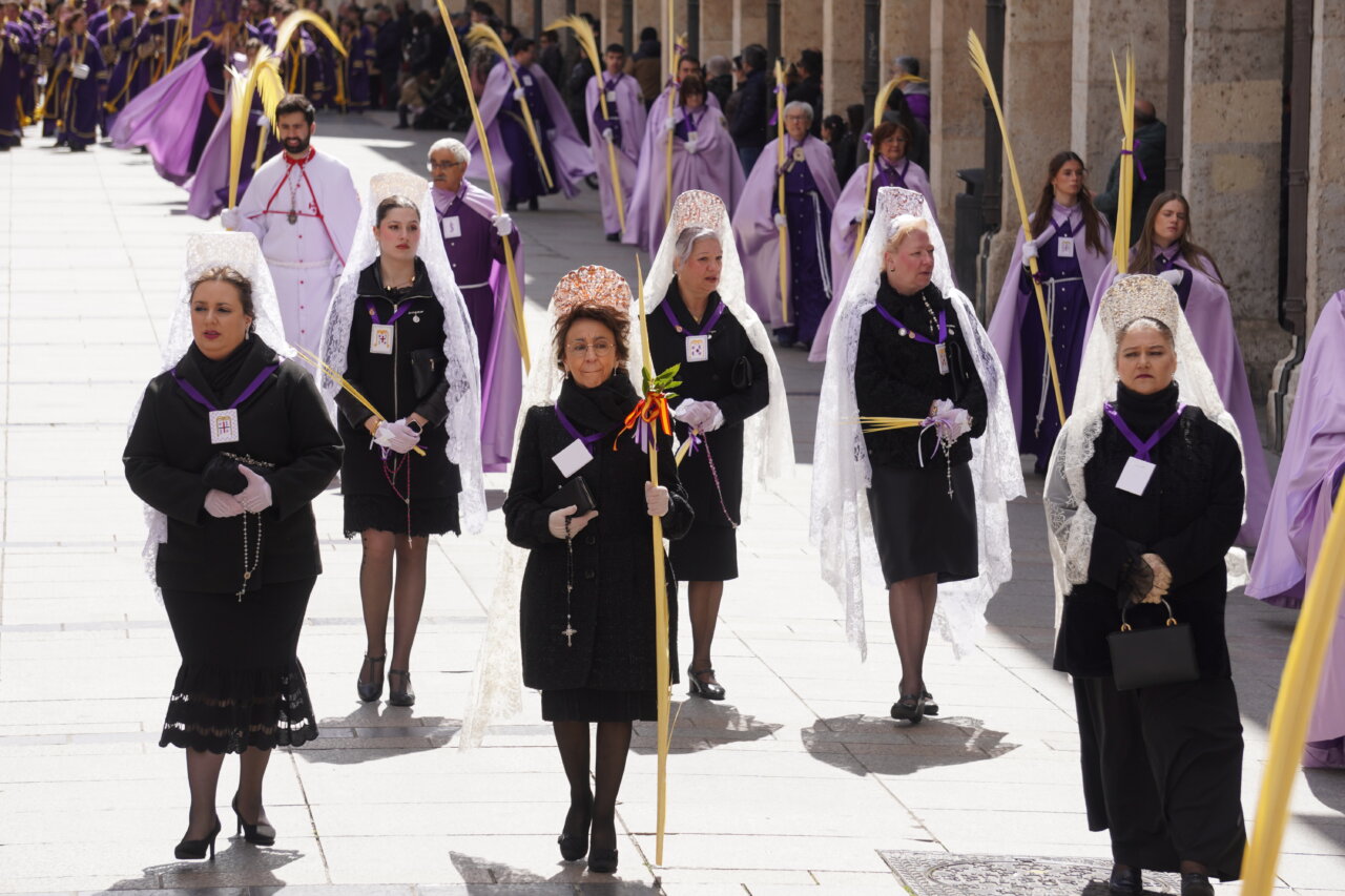 Cofrades en la procesión del Domingo de Ramos en Palencia