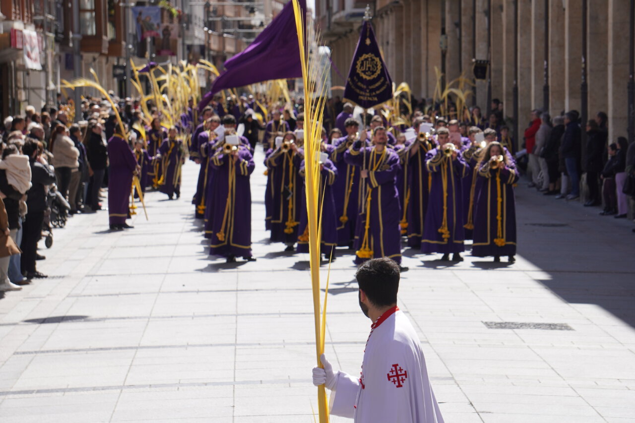 Cofrades en la procesión del Domingo de Ramos en Palencia