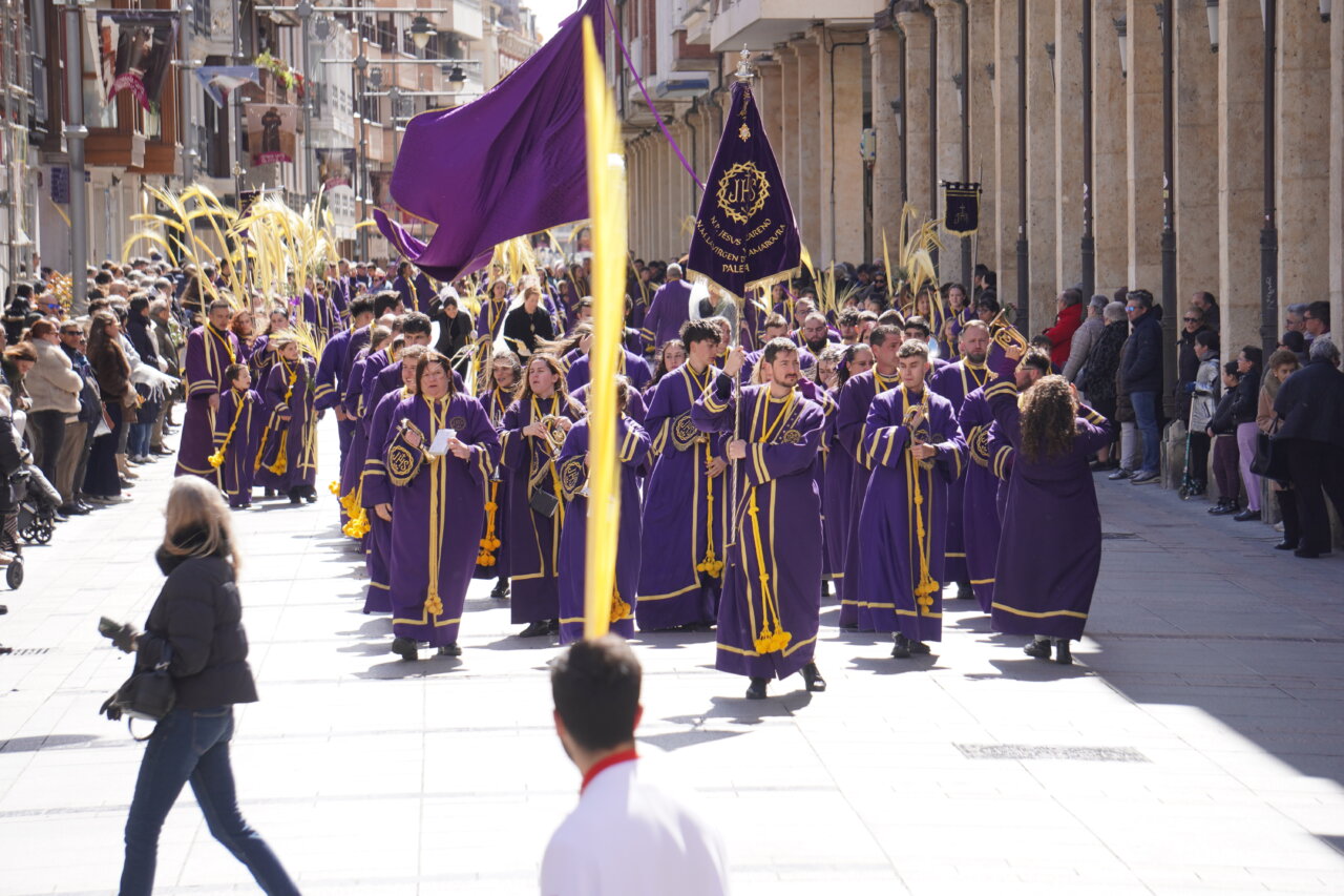 Multitud de personas en procesión con túnicas moradas en Palencia