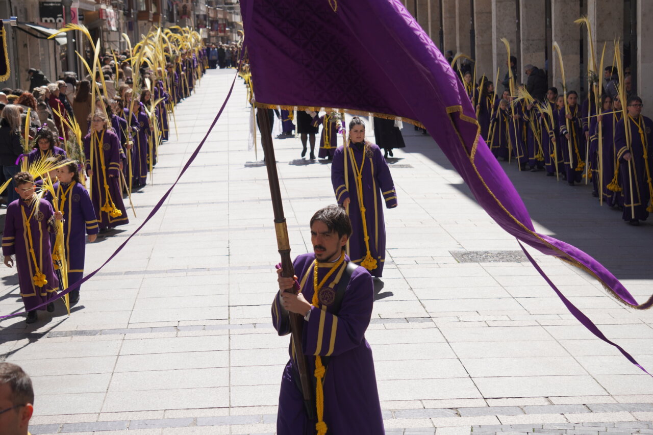 Cofrades en la procesión del Domingo de Ramos en Palencia
