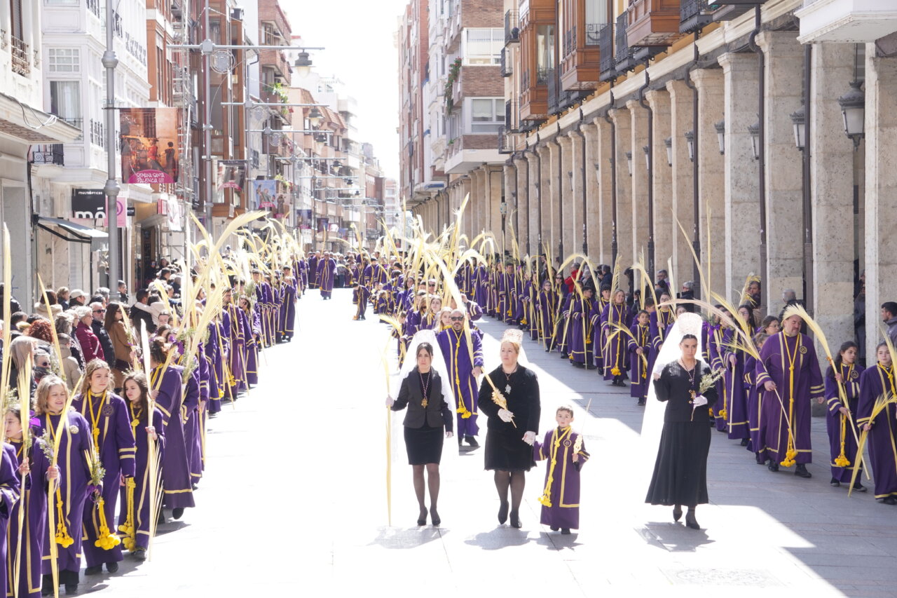 Multitudinaria procesión del Domingo de Ramos en Palencia con cofrades y niños