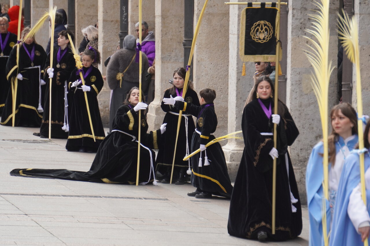 Procesión del Domingo de Ramos en Palencia con cofrades y palmas
