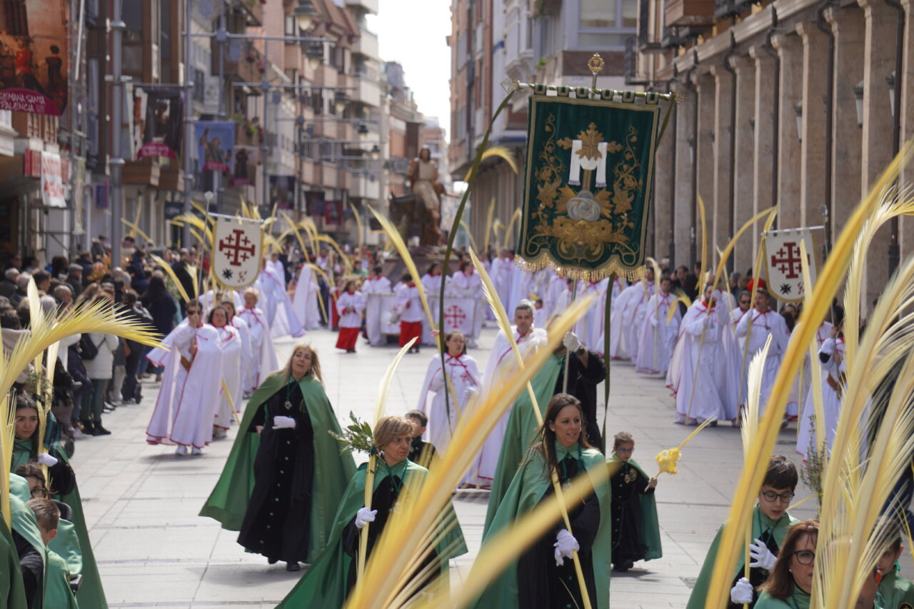 Multitudinaria procesión del Domingo de Ramos en Palencia con palmas y cofrades.