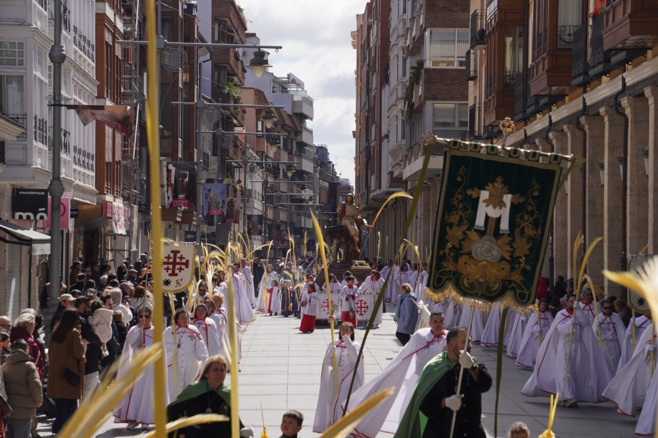 Multitudinaria procesión del Domingo de Ramos en Palencia con cofrades y palmas.