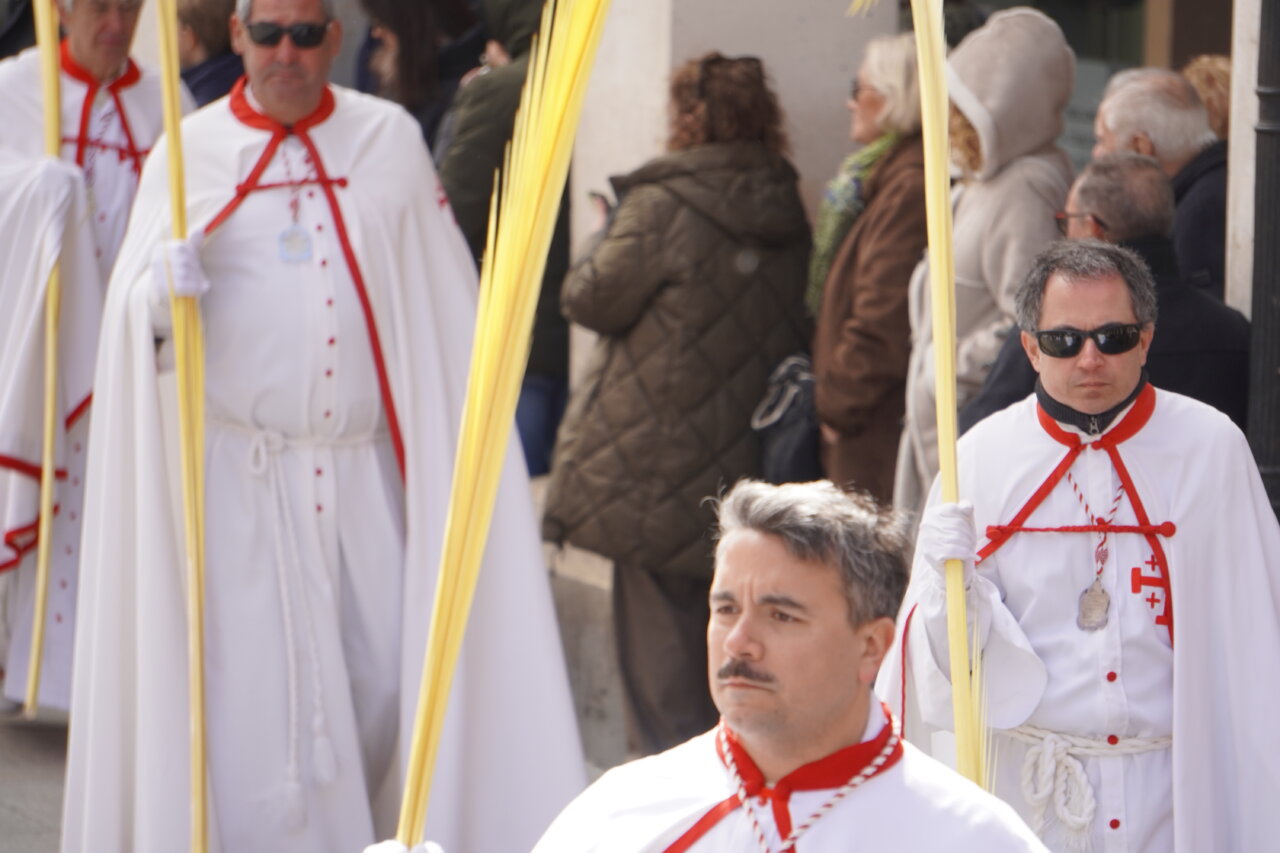 Cofrades en la procesión del Domingo de Ramos en Palencia